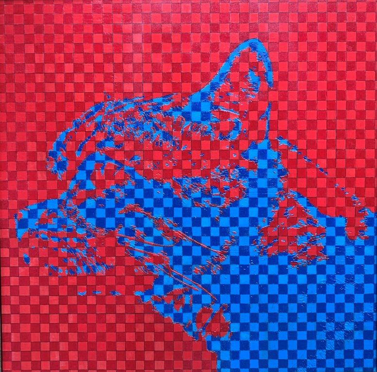 Bengal Cat 
